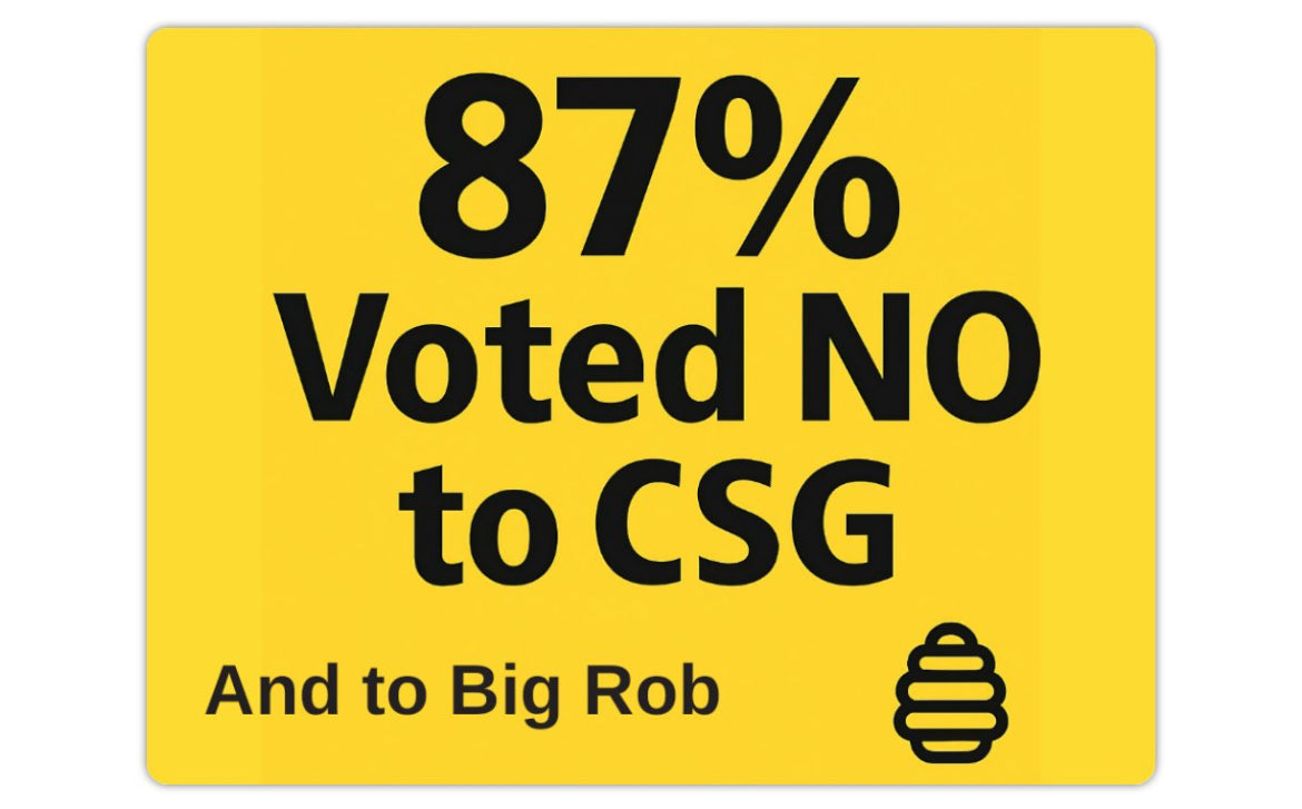 Vehicle Magnet 87% Voted NO –  (Limited Edition)29.2x22.2cm