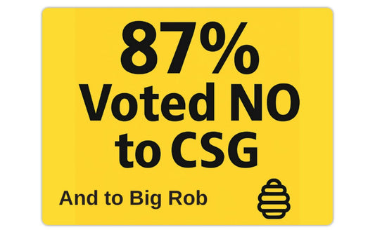 Vehicle Magnet 87% Voted NO –  (Limited Edition)29.2x22.2cm